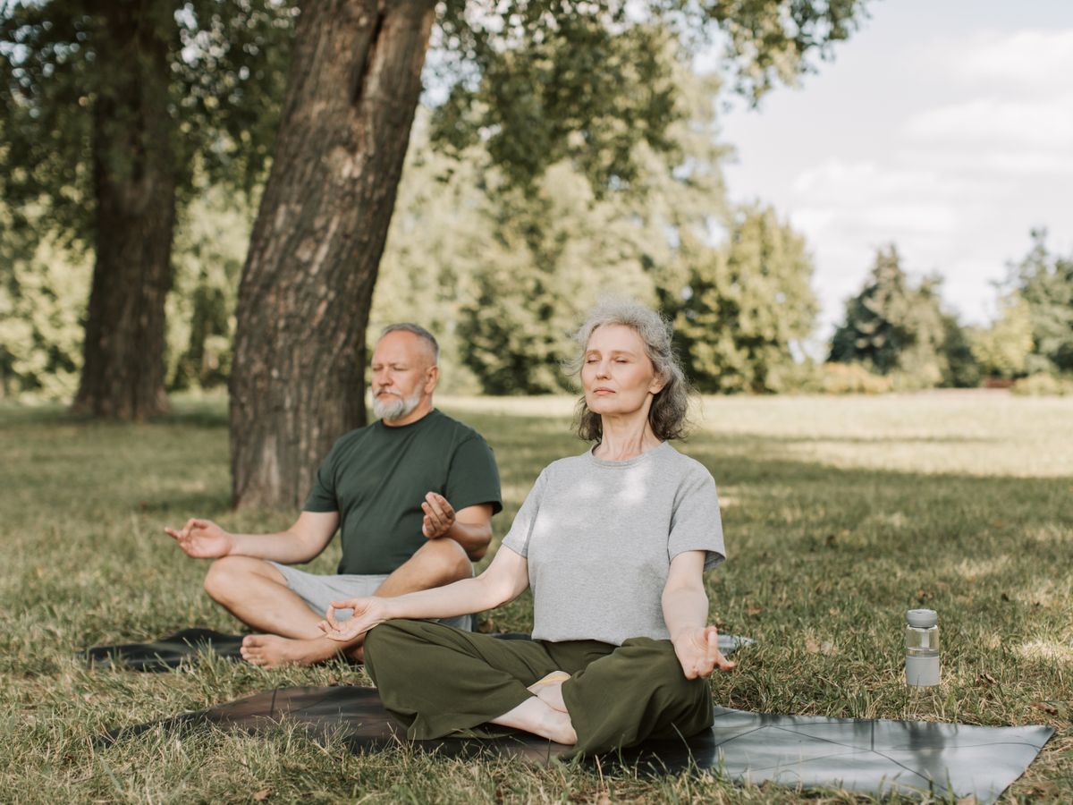An older couple resting on a blanket under a tree in a park